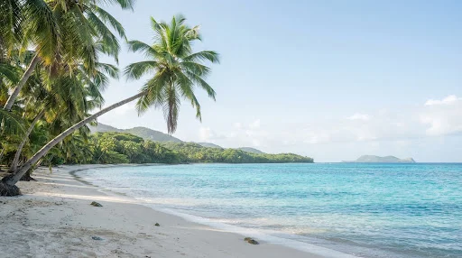 Bureau d'Innotech IT aux Abymes, création de sites internet en Guadeloupe